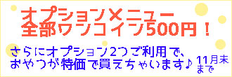 オプション全部500円