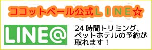 ココットベール公式ライン