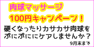 肉球マッサージキャンペーン